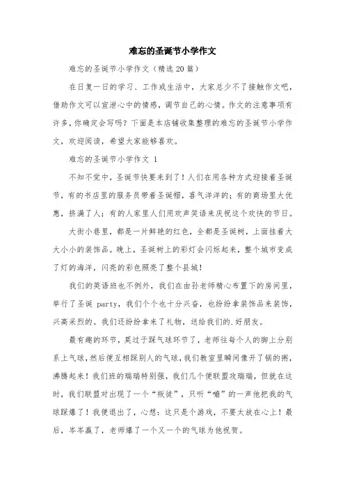 难忘的圣诞节小学作文