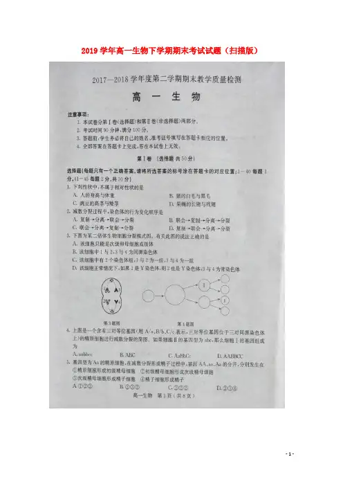 2019学年高一生物下学期期末考试试题(扫描版) 新人教版