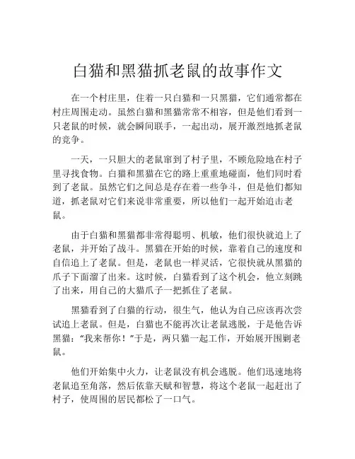 白猫和黑猫抓老鼠的故事作文