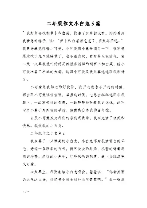 二年级作文小白兔5篇