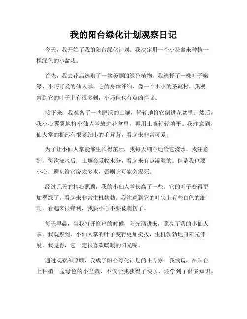  小学三年级作文我的阳台绿化计划观察日记