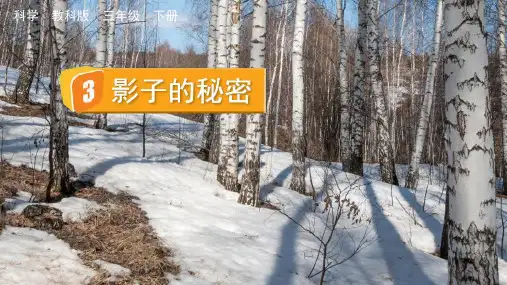 影子的秘密(课件)三年级科学下册教科版