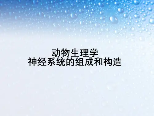 动物生理学神经系统组成与构造