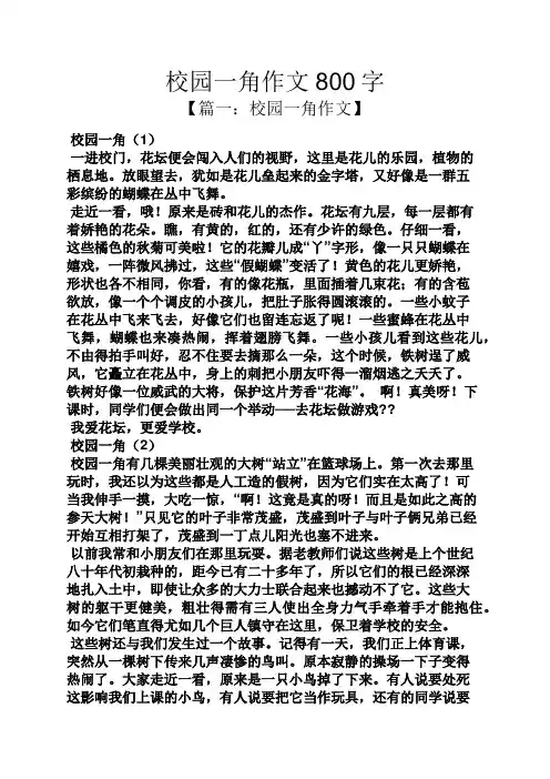 学校作文之校园一角作文800字