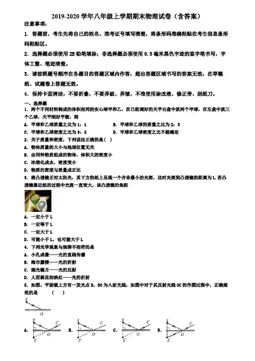 广东省湛江市2019-2020学年物理八年级上学期期末调研试卷