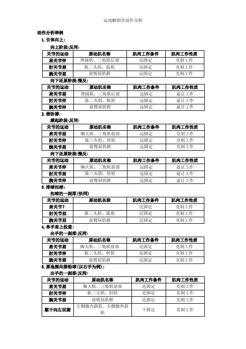 运动解剖学动作分析