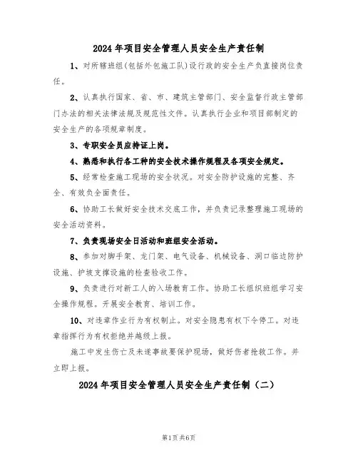 2024年项目安全管理人员安全生产责任制（三篇）