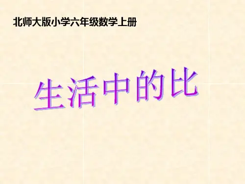 北师大版小学数学六年级上册《生活中的比》PPT课件