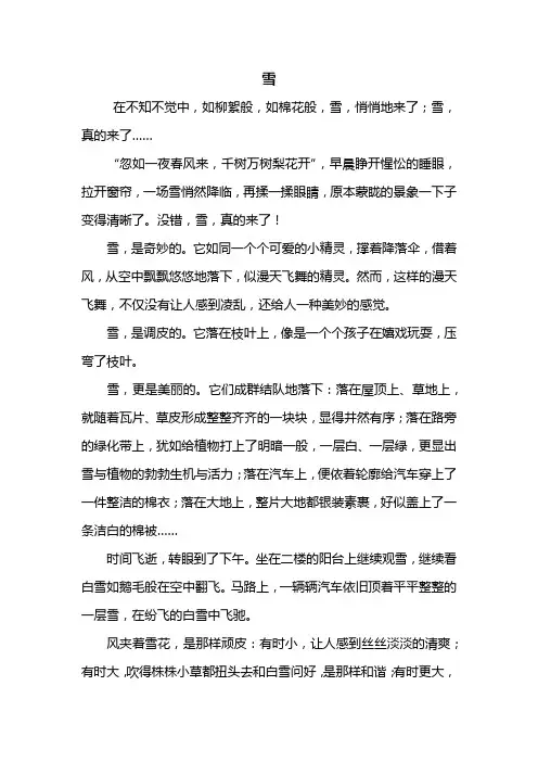 六年级作文：雪作文600字