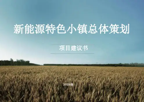 特色小镇项目旅游策划计划书最新PPT课件