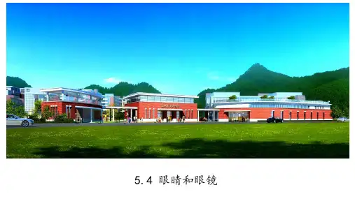 眼睛和眼镜-课件人教版物理八年级上册(1)