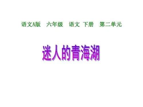 六年级语文迷人的青海湖课件
