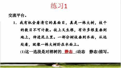 部编版五年级语文上册第七单元《语文园地七》练习课件