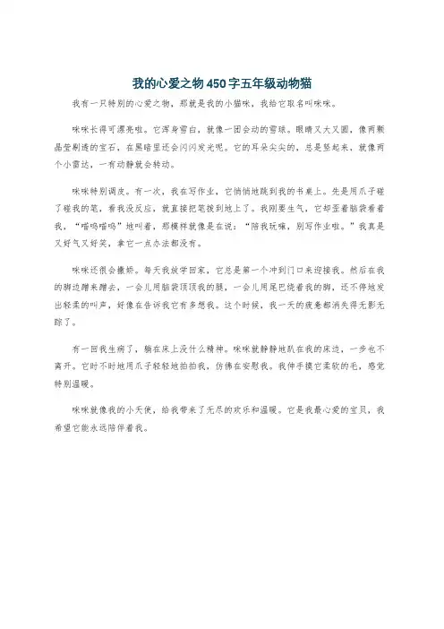 我的心爱之物450字五年级动物猫