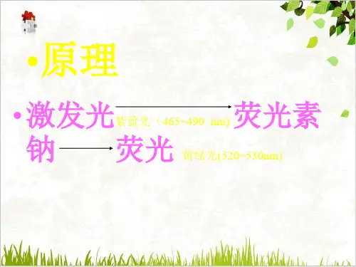眼底血管荧光造影PPT.