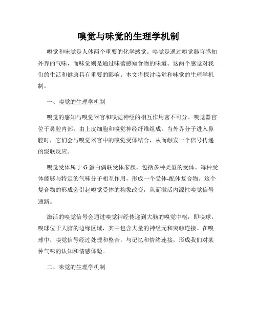 嗅觉与味觉的生理学机制
