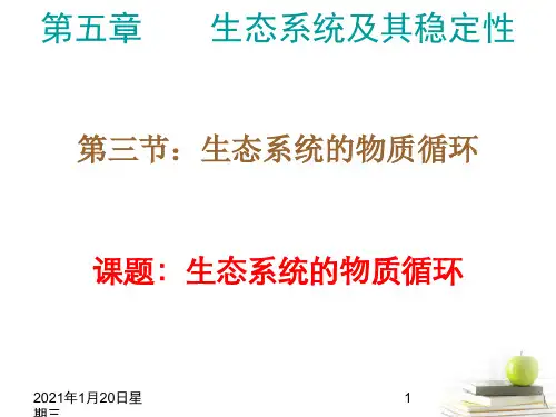 高中生物 5.3《生态系统的物质循环》课件 新人教版必修3