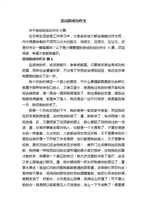 关于尝试的成功作文4篇
