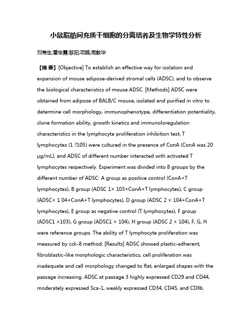 小鼠脂肪间充质干细胞的分离培养及生物学特性分析