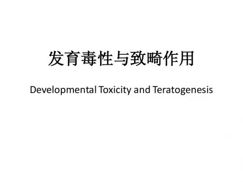 09-发育毒性与致畸作用(081215)