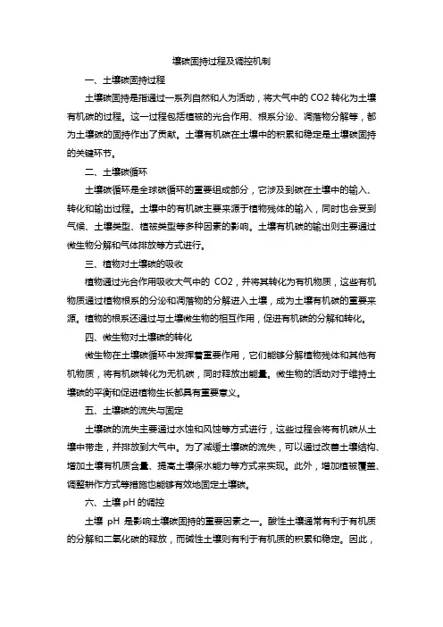 壤碳固持过程以及调控机制