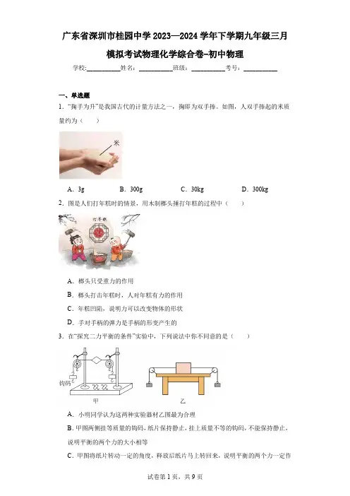 广东省深圳市桂园中学2023—2024学年下学期九年级三月模拟考试物理化学综合卷-初中物理