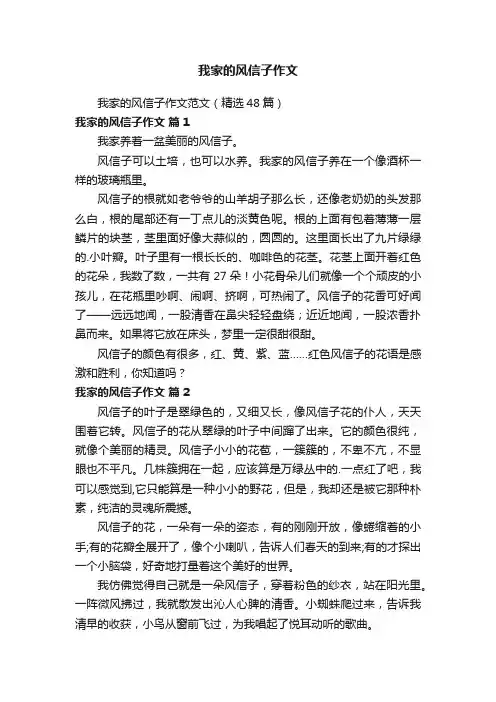 我家的风信子作文范文（精选48篇）