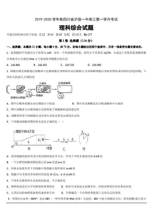 四川省泸州市泸县第一中学2020届高三上学期第一次月考理科综合试题 含答案 2