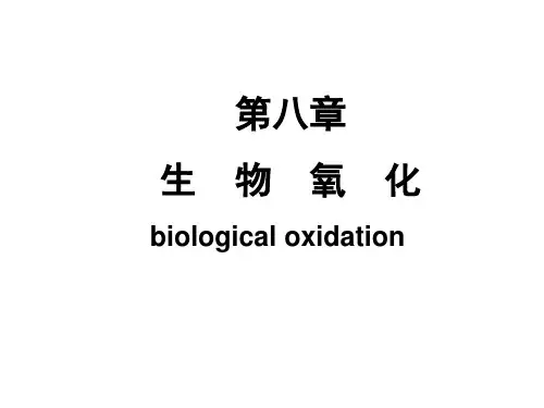 第八章生物氧化