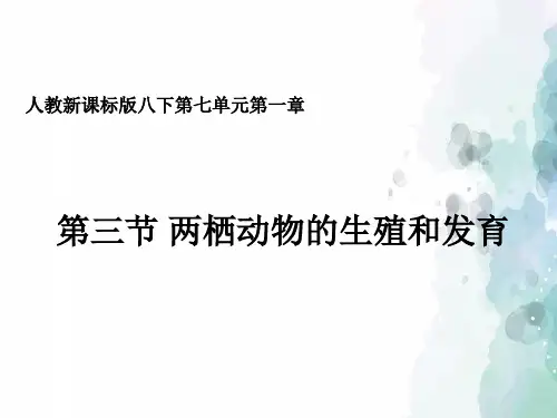 人教版-生物-八年级下册-人教版生物八年级下册7.1.3两栖动物的生殖和发育