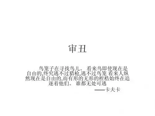 审丑