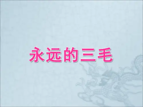 介绍三毛的ppt课件作品