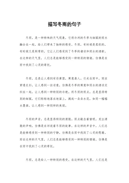 描写冬雨的句子