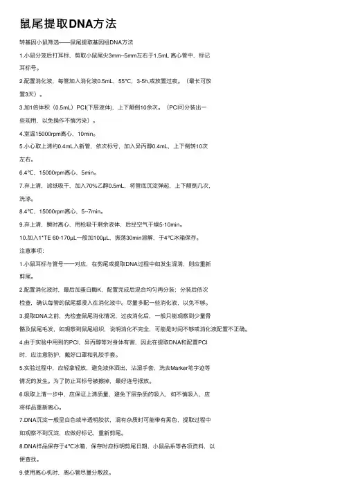 鼠尾提取DNA方法
