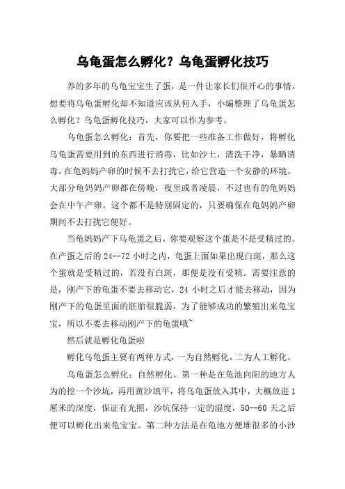 乌龟蛋怎么孵化？乌龟蛋孵化技巧