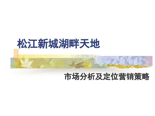 松江新城湖畔天地市场分析及定位营销策略-49PPT