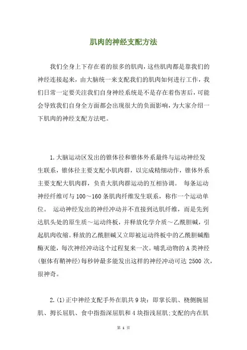 肌肉的神经支配方法