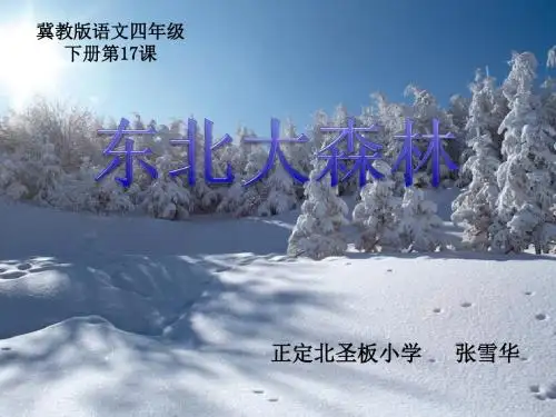 四年级下册语文课件-17. 东北大森林 ▎冀教版 (共41张PPT)