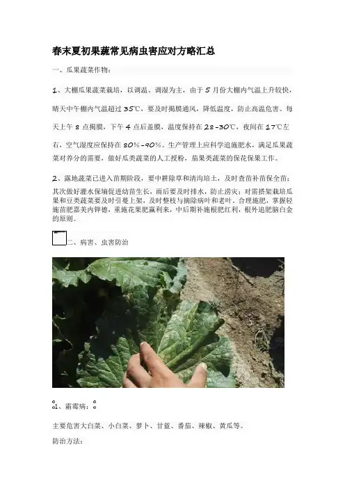 春末夏初果蔬常见病虫害应对方略汇总