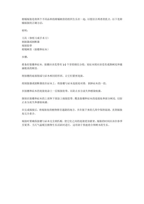 柑橘嫁接正确方法