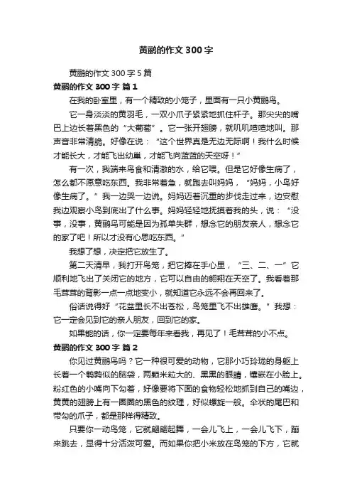 黄鹂的作文300字5篇