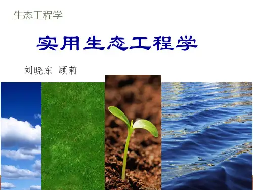 生态工程导论