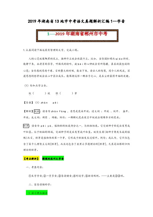 2019年湖南省13地市中考语文真题解析汇编——字音