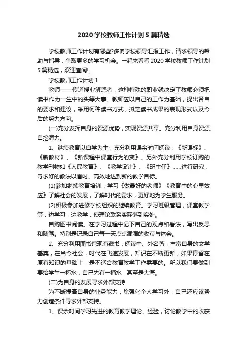 2020学校教师工作计划5篇精选