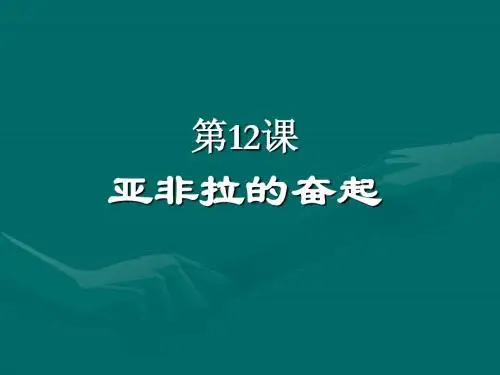 历史：《第12课亚非拉的奋起》课件[人教版九年级下]