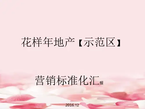 花样年地产示范区规范标准课件