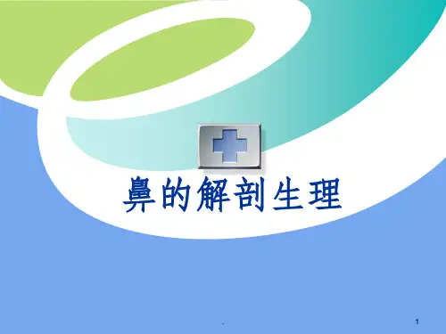 鼻的解剖ppt课件