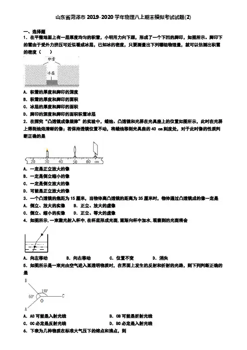 山东省菏泽市2019-2020学年物理八上期末模拟考试试题(2)