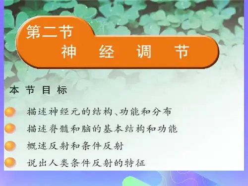 七年级生物下册第四单元生物圈中的人第十二章人体生命活动的调节第二节人体的神经调节课件2(新版)苏教版