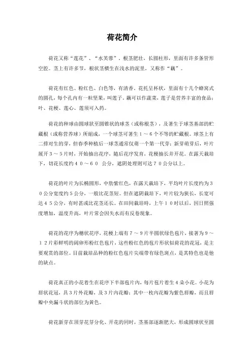 人教版三年级语文下册荷花简介